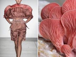 Ketika Foto Fashion dan Alam Disandingkan Bikin Tercengang