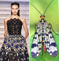 Foto Fashion dan Alam