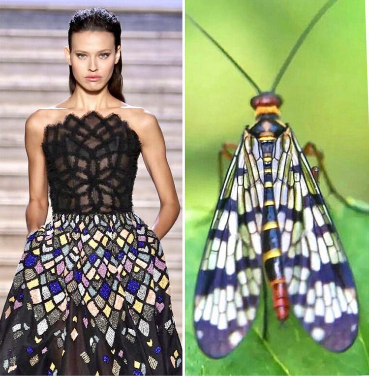 Foto Fashion dan Alam