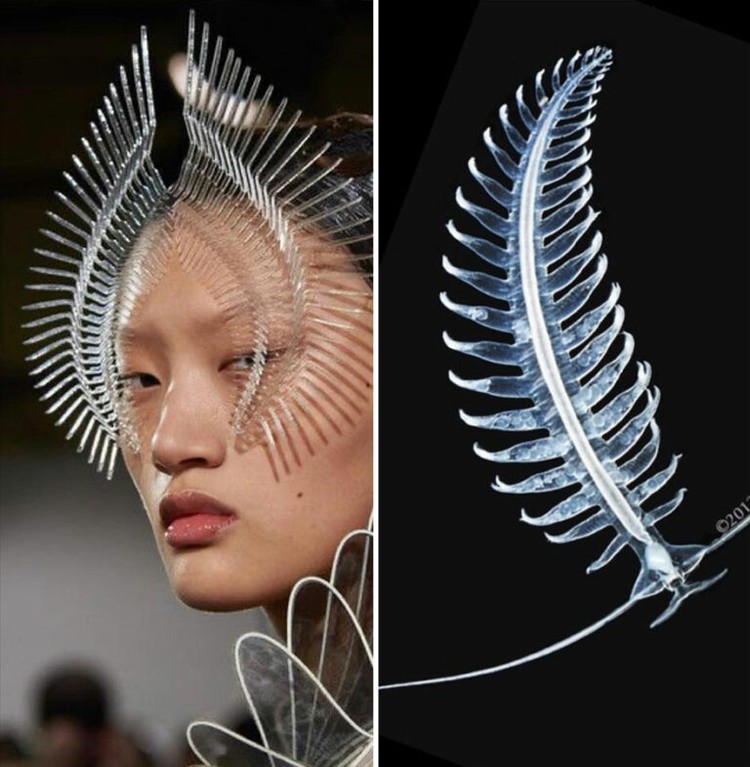 Foto Fashion dan Alam