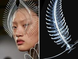 Ketika Foto Fashion dan Alam Disandingkan Bikin Tercengang