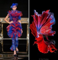 Foto Fashion dan Alam