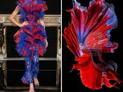 Ketika Foto Fashion dan Alam Disandingkan Bikin Tercengang