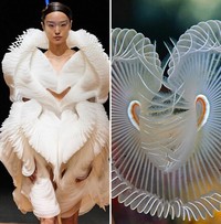 Foto Fashion dan Alam