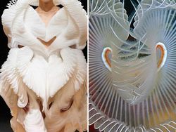 Ketika Foto Fashion dan Alam Disandingkan Bikin Tercengang