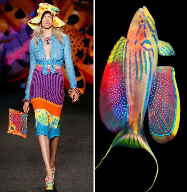 Foto Fashion dan Alam