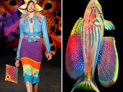 Ketika Foto Fashion dan Alam Disandingkan Bikin Tercengang