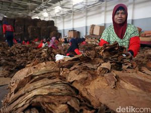 Industri Kreatif & Media Minta Dilibatkan dalam Penyusunan RPP Kesehatan