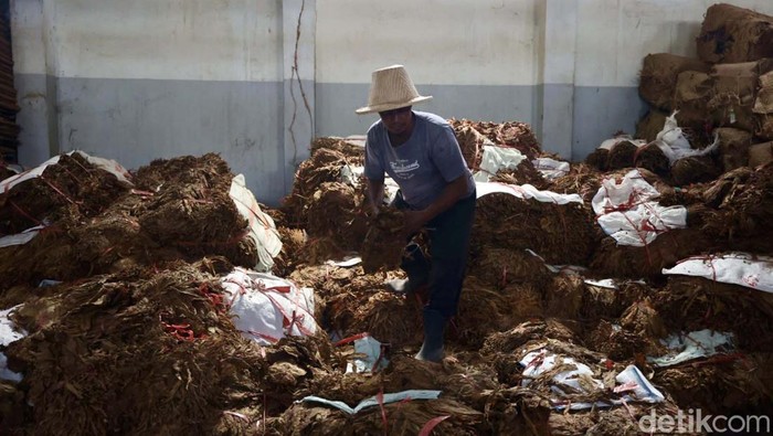 Ganjar Pranowo hadiri sarasehan petani tembakau Asepan Gudang Tembakau Empat Lima di Klaten, Jateng. Ganjar janji jadikan Jateng pusat tembakau di Indonesia.