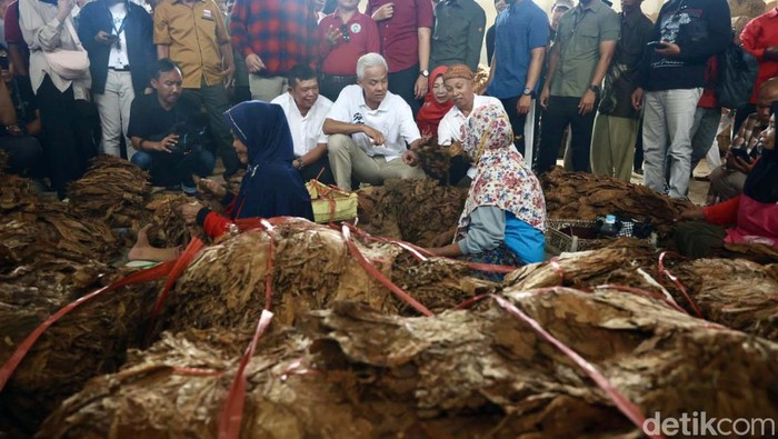 Ganjar akan Jadikan Jateng Pusat Tembakau Indonesia Ganjar Pranowo hadiri sarasehan petani tembakau Asepan Gudang Tembakau Empat Lima di Klaten, Jateng. Ganjar janji jadikan Jateng pusat tembakau di Indonesia.