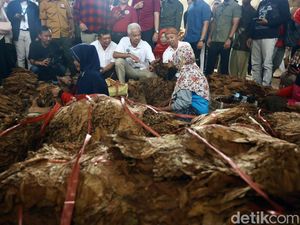 Ganjar akan Jadikan Jateng Pusat Tembakau Indonesia