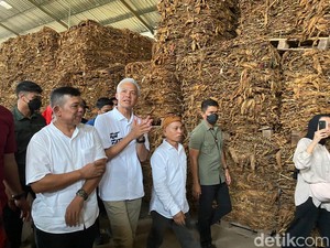 Ganjar Dorong Jateng Jadi Pusat Tembakau Dunia, Singgung soal Hilirisasi