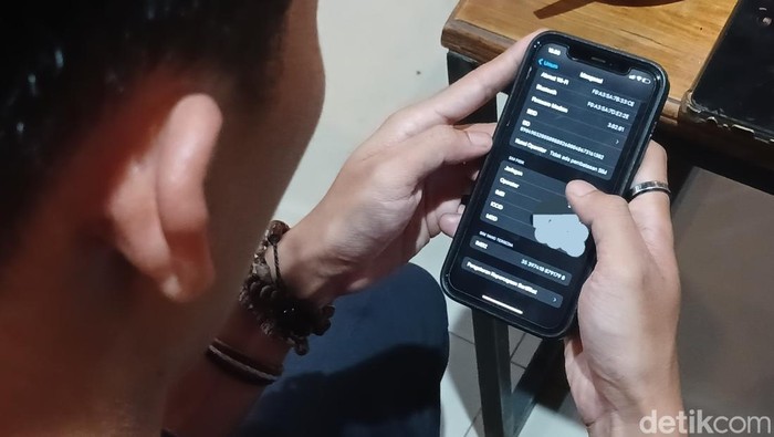 Ilustrasi seorang warga tengah memeriksa IMEI iPhone (Alamudin Hamapu/detikSumut)