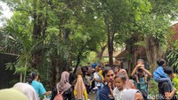 Jalur dekat kandang satwa Gajah dan juga Komodo juga menjadi lokasi favorit pengujung.