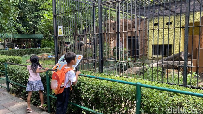 Kunjungan wisatawan di Kebun Binatang Surabaya saat libur Nataru semakin meningkat, Rabu (27/12/2023).