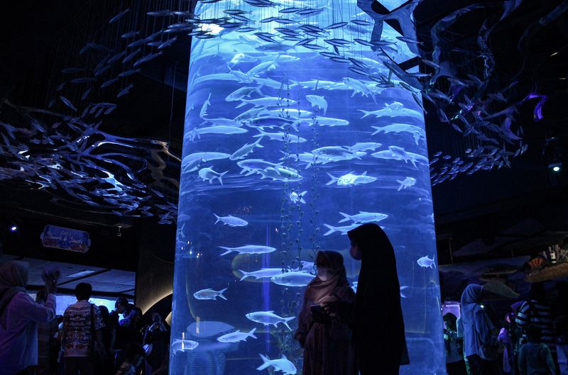 Pengunjung melihat ikan piranha di Jakarta Aquarium Safari, Neo Soho Mall, Jakarta, Rabu (27/12/2023). Menteri Pariwisata dan Ekonomi Kreatif Sandiaga Uno memproyeksikan momentum libur Natal 2023 dan Tahun Baru 2024 dapat memberikan kontribusi hingga Rp120 triliun terhadap perekonomian nasional. ANTARA FOTO/Aloysius Lewokeda/sgd/Spt.
