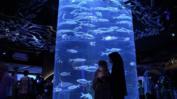 Kontribusi momentum libur Natal pada perekonomian nasional Pengunjung melihat ikan piranha di Jakarta Aquarium Safari, Neo Soho Mall, Jakarta, Rabu (27/12/2023). Menteri Pariwisata dan Ekonomi Kreatif Sandiaga Uno memproyeksikan momentum libur Natal 2023 dan Tahun Baru 2024 dapat memberikan kontribusi hingga Rp120 triliun terhadap perekonomian nasional. ANTARA FOTO/Aloysius Lewokeda/sgd/Spt.