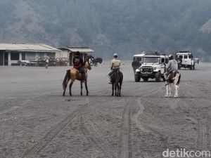 Ulah Ngawur Ojek Bromo Getok Tarif Rp 400 Ribu Bikin Wisatawan Resah