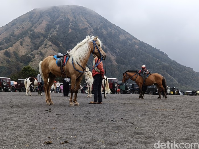 Ojek Kuda dan Pedagang Souvernir di Gunung Bromo