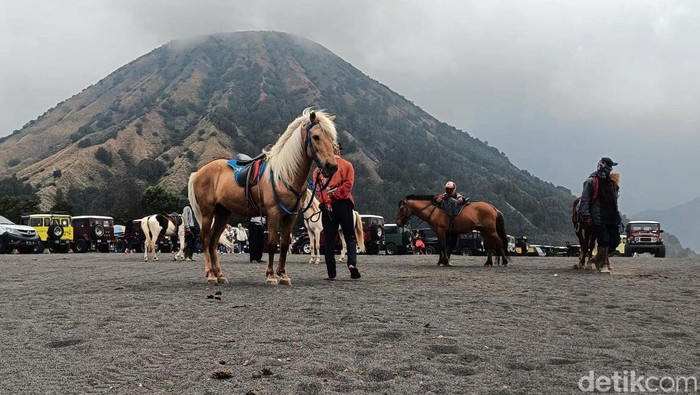 Ojek kuda di kawasan Gunung Bromo yang sepi penumpang saat libur Nataru, rabu (27/12/2023).