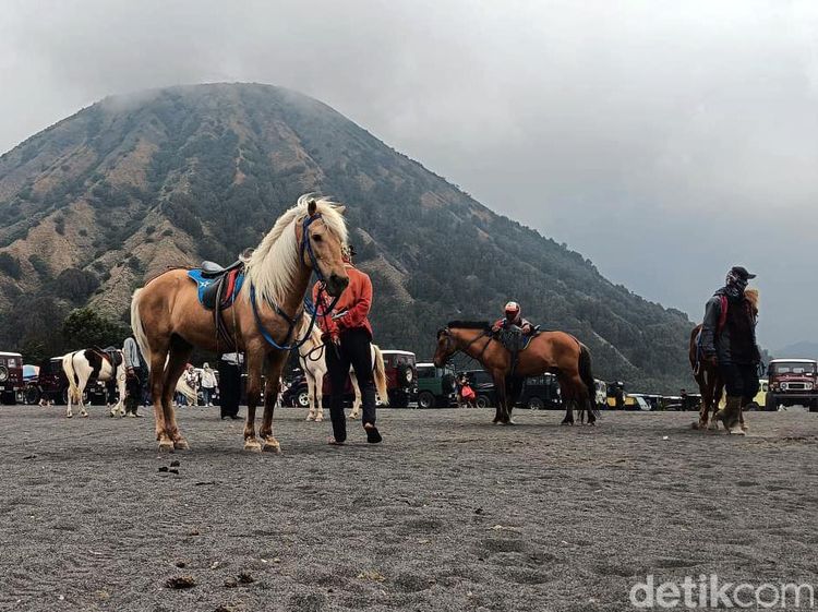 Potret Ojek Kuda di Kawasan Gunung Bromo
