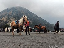 Potret Ojek Kuda di Kawasan Gunung Bromo