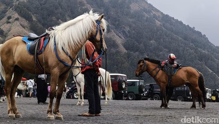 Ojek kuda di kawasan Gunung Bromo yang sepi penumpang saat libur Nataru, rabu (27/12/2023).