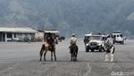 Potret Ojek Kuda di Kawasan Gunung Bromo