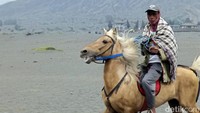 Wisatawan yang ingin menggunakan jasa ojek kuda di lautan pasir menuju kawah Gunung Bromo seharga Rp 100 ribu. Sedangkan pulang pergi (PP) Rp 200 ribu.