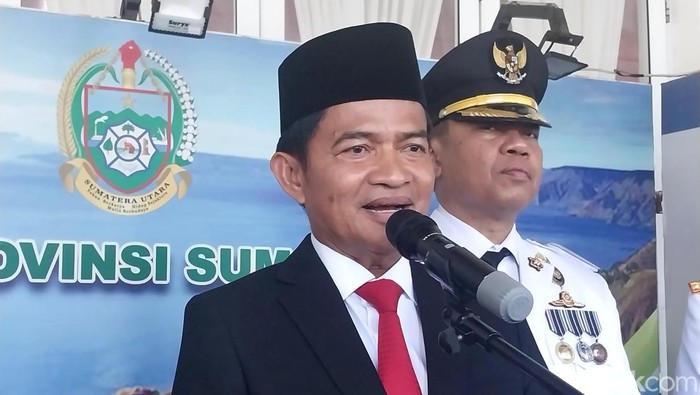Pj Gubernur Sumut Hassanudin (Finta Rahyuni/detikSumut)