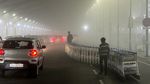 Saat New Delhi Diselimuti Kabut Tebal, Jarak Pandang Hampir Nol