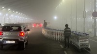 Kabut tebal ini juga mengganggu transportasi udara, kereta api dan jalan raya. Menurut kantor berita India ANI seperti dilansir CNBC Indonesia, setidaknya 30 penerbangan yang mendarat di atau berangkat dari bandara Delhi, termasuk rute internasional, mengalami penundaan karena kabut tebal. Laporan itu juga mengatakan sekitar 14 kereta api yang melakukan perjalanan di sepanjang rute di India Utara juga terkena dampak serupa.