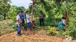 Penampakan 3 Bunga Bangkai Ditemukan Warga Pasuruan
