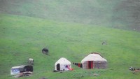 Mengutip laman resmi Unesco yang dikutip detikcom, Rabu (27/12/2023), Yurt merupakan tempat tinggal nomaden yang disusun dari bingkai kayu melingkar yang ditutupi dengan kain kempa yang dieratkan dengan tali dan bisa dengan mudah dirakit dan dibongkar dalam waktu singkat. Foto: Urmat Osmoev/CACSARC-kg via UNESCO