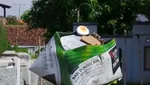 10 Tugu Makanan Unik di Berbagai Daerah, Gerobak Nasgor hingga Petai