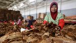 Aktivitas Buruh Rokok di Tengah Rencana Kenaikan Cukai