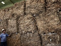 241 Pekerja Dapat BLT Dana Bagi Hasil Tembakau Rp 800 Ribu