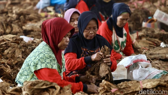 Aktivitas Buruh Rokok di Tengah Rencana Kenaikan Cukai