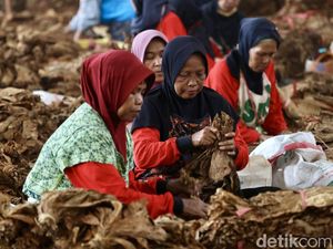 Pemerintah Diminta Lindungi Industri Rokok, Ini Alasannya