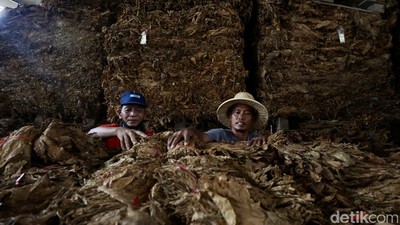 Aktivitas Buruh Rokok di Tengah Rencana Kenaikan Cukai