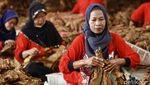 Aktivitas Buruh Rokok di Tengah Rencana Kenaikan Cukai