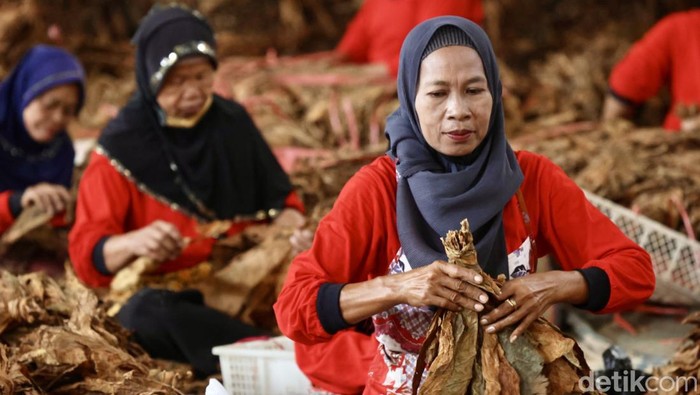 Aktivitas Buruh Rokok di Tengah Rencana Kenaikan Cukai