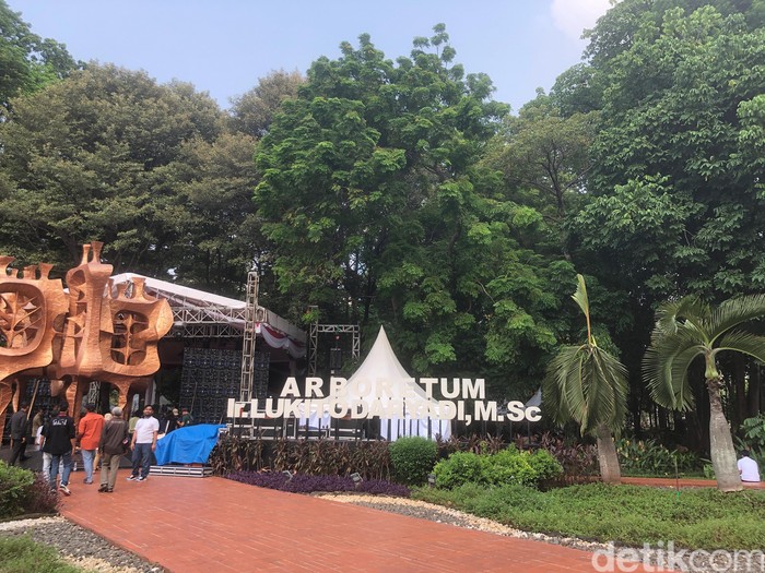 Arboretum di wilayah kantor KLHK kini akan disulap menjadi Miracle Garden of Arboretum.  (Damaris Fanuelle/detikcom)