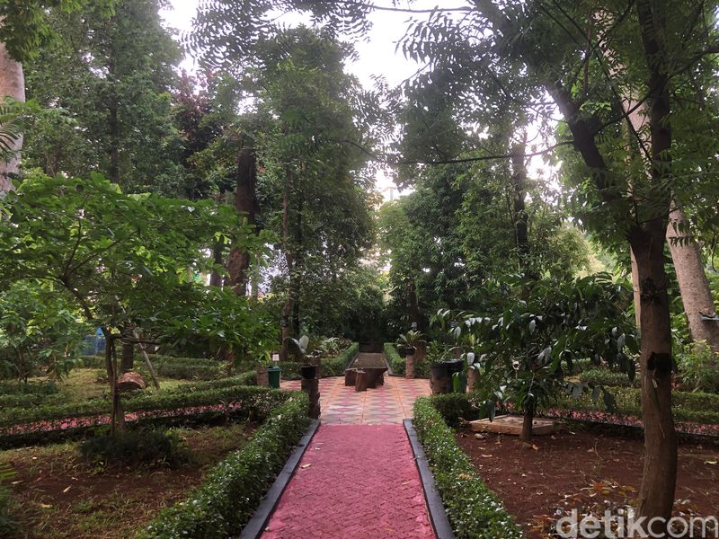 Arboretum di wilayah kantor KLHK kini akan disulap menjadi Miracle Garden of Arboretum.  (Damaris Fanuelle/detikcom)