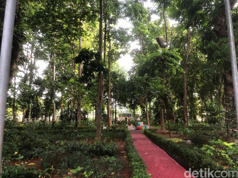 Arboretum di wilayah kantor KLHK kini akan disulap menjadi Miracle Garden of Arboretum.  (Damaris Fanuelle/detikcom)