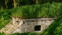 Bagian depan bunker ditumbuhi banyak rerumputan hijau. Adapun, bunker tersebut terbuat dari beton. Foto: Will Scott via New Atlas