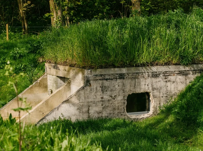 Bunker/Will Scott via New Atlas