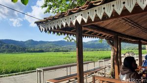 Menikmati Hijaunya Sawah Kulon Progo Sambil Kulineran di Geblek Pari