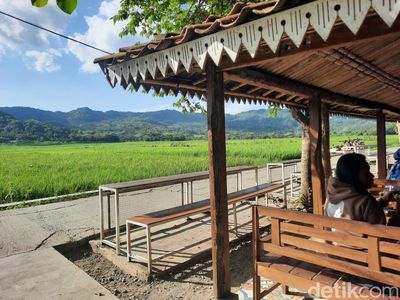 Menikmati Hijaunya Sawah Kulon Progo Sambil Kulineran di Geblek Pari