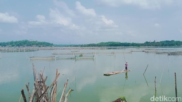 Kawasan Rawa Jombor, Kecamatan Bayat, Klaten. Foto diunggah pada Kamis (28/12/2023).